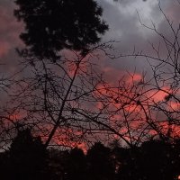 8 часов утра... :: veilins veilins