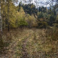 По заброшенной дороге :: LudMila 