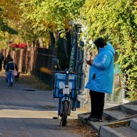 Уточнение маршрута... :: Николай Саржанов