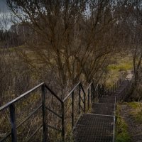 "По лестнице в ноябрьскую осень"© :: Владимир Макаров