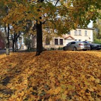 На улице города. :: Николай 