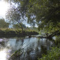 Река Дон. :: Александр 