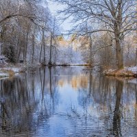 Поздняя осень :: Тамара Вебер