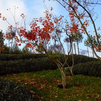 Осень. :: Юрий Полторыхин.