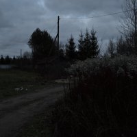 Серые будни :: SirSatorik 