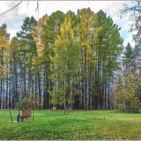 В осеннем парке. :: Aquarius - Сергей