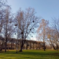 Прогулка по парку Кадриорг :: Veera V