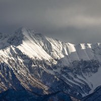 ... :: Жора Житников