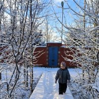 По первому снегу. :: Ольга 