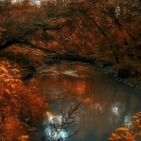 Мостик. :: Владимир Владимир