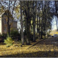 Листья желтые под ноги ложатся... :: Aleksandr Gal