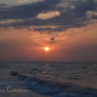 Природа Крыма :: Amazing Cosmea