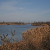 Штиль. :: Виктор 