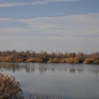 Вечерняя тишина. :: Виктор 