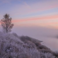 **** :: Елизавета .