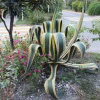 Адлер :: Serega SchütZ