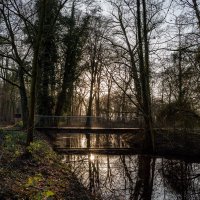 Солнце на мостике... :: Николай Гирш