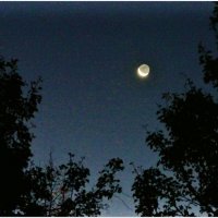 ЛУНА... :: Elvira E. 