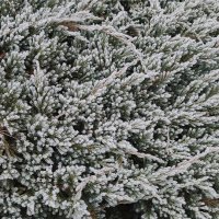 Зима на подходе :: rimgis 