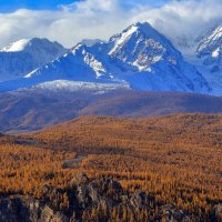 Осень... :: владимир 