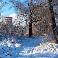 Чудесный день!!! :: Радмир Арсеньев