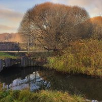 20 ноября :: Наталья Лакомова