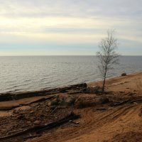 Репино :: Наталья Герасимова