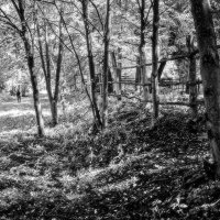 Кладбище в Бёхово :: Алексей Окунеев