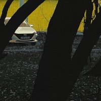 абрикосы что за домом :: Николай Семёнов