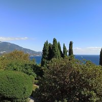 Ливадийский парк. Крым :: Галина Ливадийский парк. Крым :: Галина