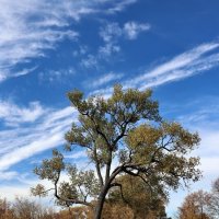 Б/Н :: Николай 