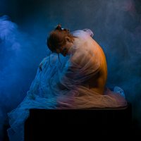 в цвете и свете :: alexzonder 