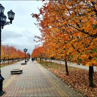 Аллея! :: Надежда Аллея! :: Надежда