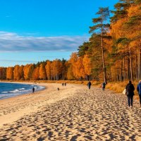 Осень :: Ольга 