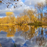 Краски осени. Петропавловский парк. :: Михаил Свиденцов