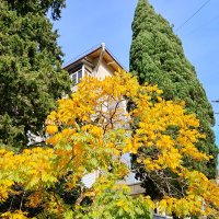 ноябрь :: Tata Wolf