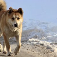 Важная персона :: Любовь Сахарова