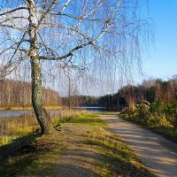 Осенний пейзаж. :: Милешкин Владимир Алексеевич Осенний пейзаж. :: Милешкин Владимир Алексеевич