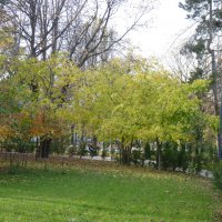 Осеньна бульваре Ленина :: Валентин Семчишин Осеньна бульваре Ленина :: Валентин Семчишин