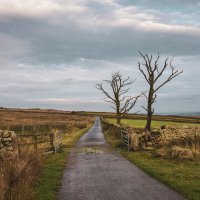 Осенний пейзаж :: Алекс Римский