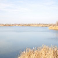 **** :: Виктор 