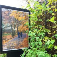 Осенью :: Галина 