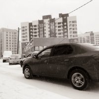 Фотография :: Денис Безногов