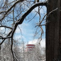 Снежный день!!! :: Радмир Арсеньев