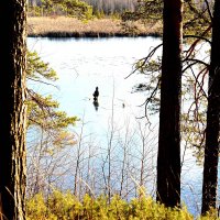 первый лёд :: Александр 