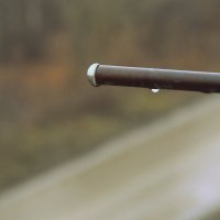 Утро туманное... :: Елена Минина