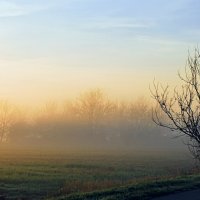 Ноябрь. Утро. :: Владимир 