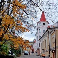 Улочки Выборга. :: Лия ☼