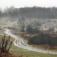 Царицыно 21 ноября :: Михаил Бибичков Царицыно 21 ноября :: Михаил Бибичков