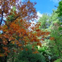 Адлер. В пансионате "Орбита" :: Нина Бутко Адлер. В пансионате "Орбита" :: Нина Бутко